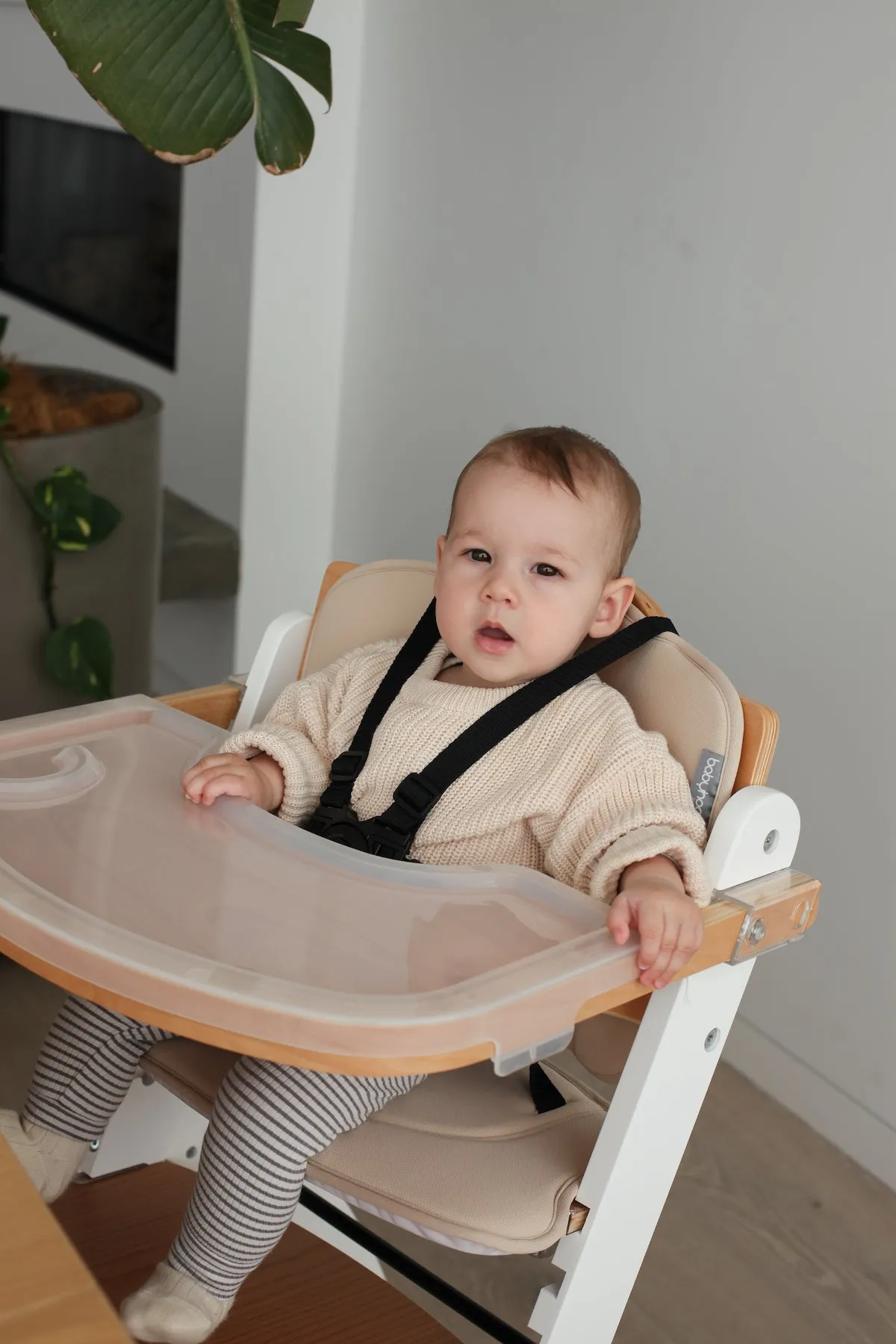 Babyhood Kaylula Ava High Chair - Beech and White