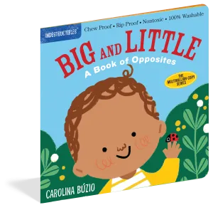 Big & Little Opposites Indestructibles Book