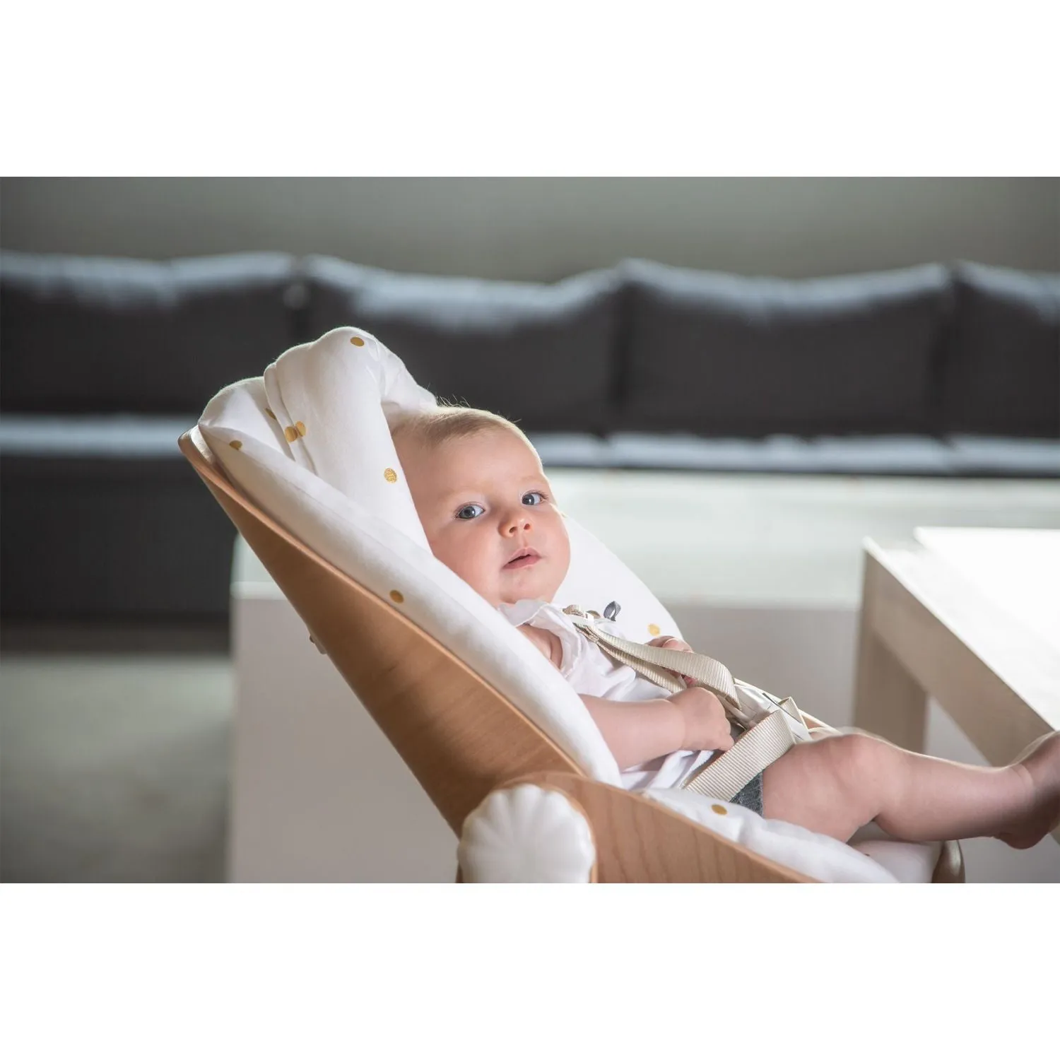 Childhome Evolu 2 Newborn Seat