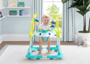 Deluxe Bounceroo Learn2Walk Balancer Baby Walker