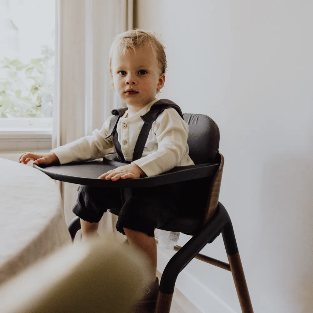 High chair - Adjustable - 0-6 Years